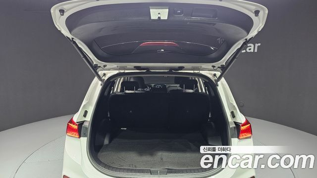 Hyundai Santa Fe (TM) Diesel 2.0 2WD Exclusive 2019 — фото 19