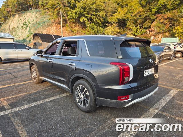 Hyundai Palisade Diesel 2.2 4WD Exclusive 2019 — фото 4