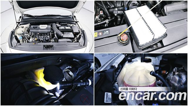 Hyundai i30 (PD) 1.6 Turbo Sport Premium 2018 — фото 21
