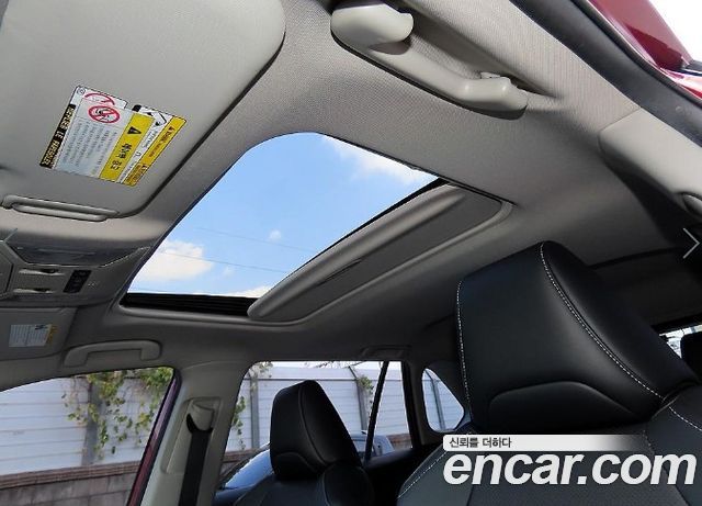 Toyota RAV4 (V) 2.5 4WD Hybrid 2019 — фото 20