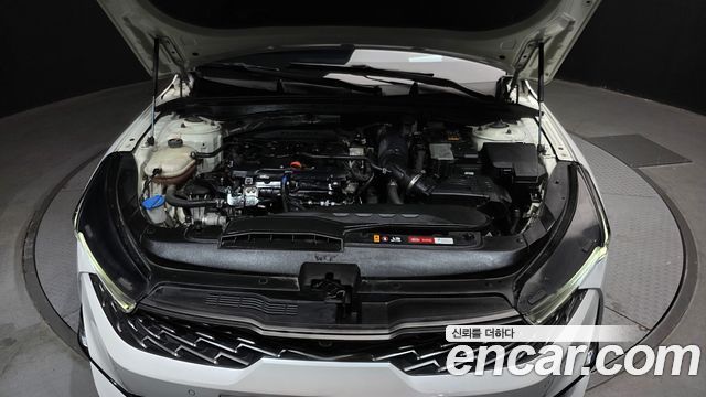 Kia K5 (III) 1.6 Turbo Noblesse 2021 — фото 6