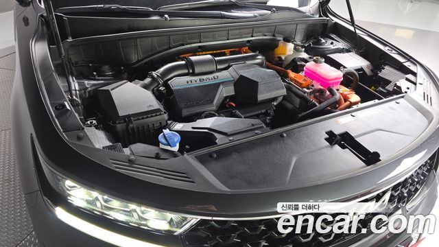 Kia Sorento (IV) HEV 1.6 4WD Noblesse 2023 — фото 6