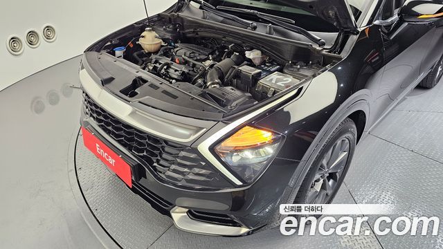 Kia Sportage (V) Gasoline 1.6 Turbo 2WD Nobleless 2022 — фото 6
