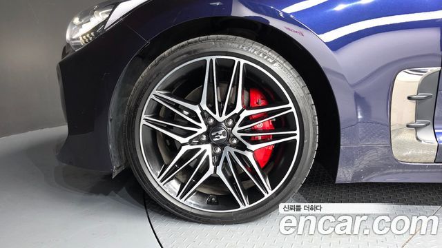 Kia Stinger Meister 2.5 AWD Masters 2021 — фото 5