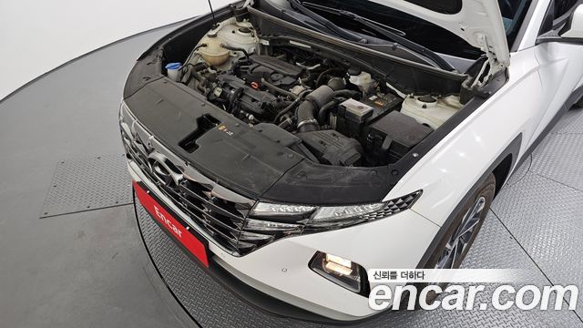 Hyundai Tucson (NX4) Gasoline 1.6 Turbo 2WD Premium 2021 — фото 6