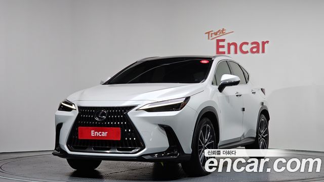 Lexus NX350h (II) Luxury