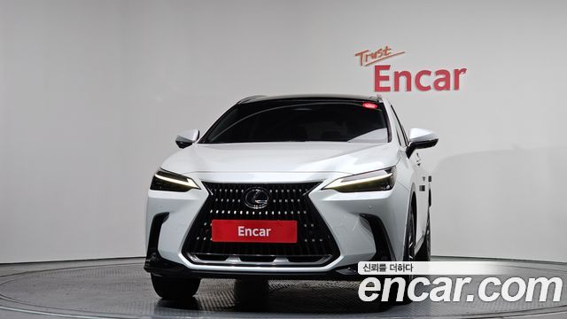 Lexus NX350h (II) Luxury 2024 — фото 3