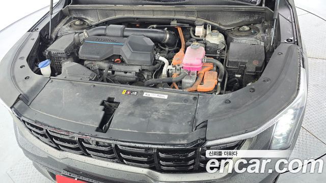 Kia Sorento (IV) HEV 1.6 4WD Gravity 2024 — фото 6