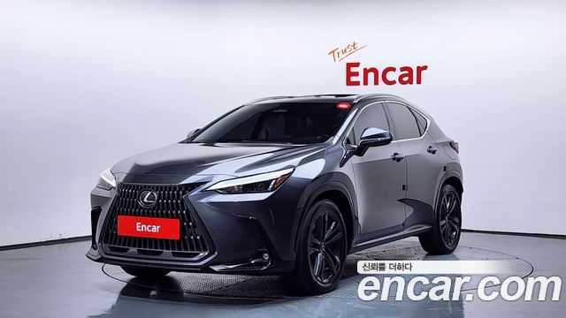 Lexus NX350h (II) Premium