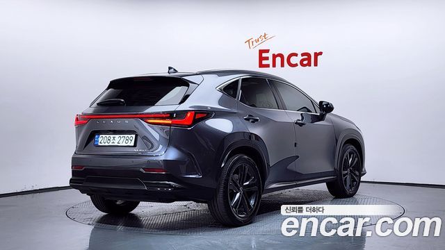 Lexus NX350h (II) Premium 2024 — фото 2