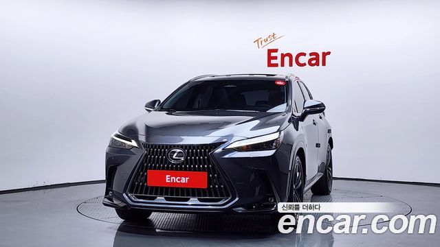 Lexus NX350h (II) Premium 2024 — фото 3
