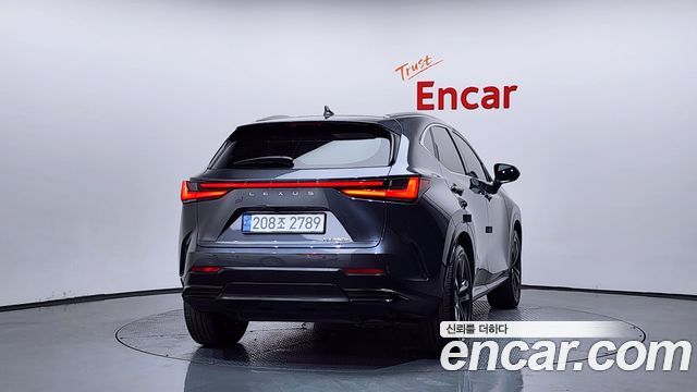 Lexus NX350h (II) Premium 2024 — фото 4
