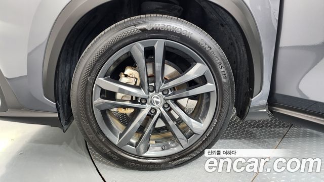 Lexus NX350h (II) Premium 2024 — фото 5