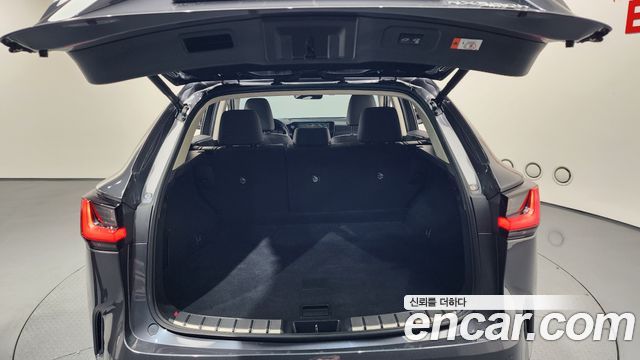 Lexus NX350h (II) Premium 2024 — фото 20