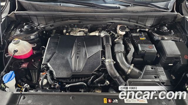 Kia Sorento (IV) Gasoline 2.5T 4WD Gravity 2024 — фото 6
