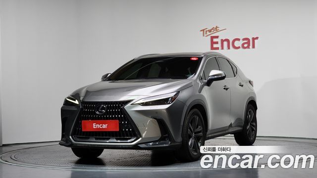 Lexus NX350h (II) Premium 2023 — фото 1