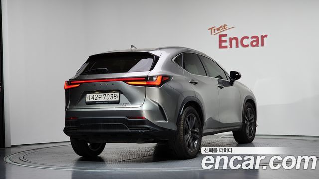 Lexus NX350h (II) Premium 2023 — фото 2