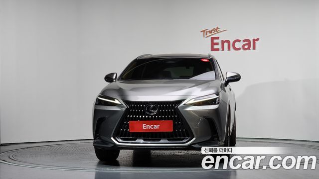 Lexus NX350h (II) Premium 2023 — фото 3