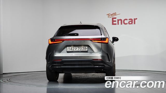 Lexus NX350h (II) Premium 2023 — фото 4