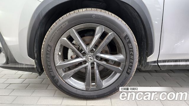 Lexus NX350h (II) Premium 2023 — фото 5