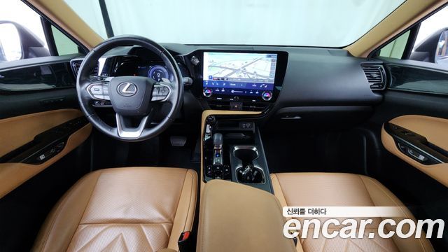 Lexus NX350h (II) Premium 2023 — фото 7