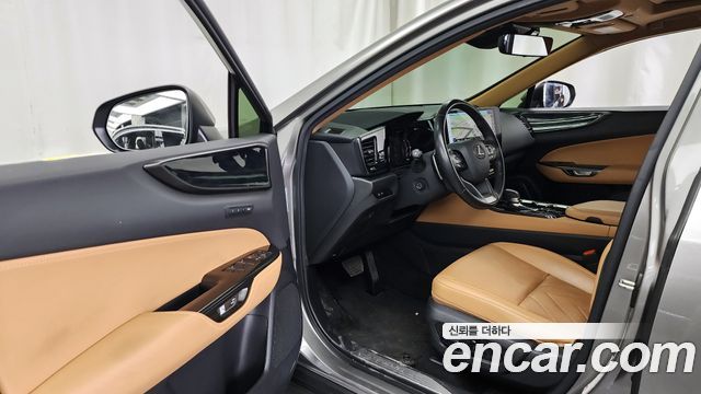 Lexus NX350h (II) Premium 2023 — фото 10