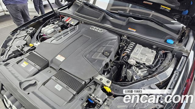 Audi Q7 (4M) 50 TDI Quattro Premium 2023 — фото 6