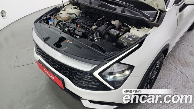 Kia Sportage (V) Gasoline 1.6 Turbo 2WD Prestige 2023 — фото 6