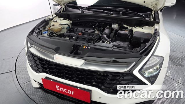 Kia Sportage (V) Gasoline 1.6 Turbo 2WD Signature 2022 — фото 6