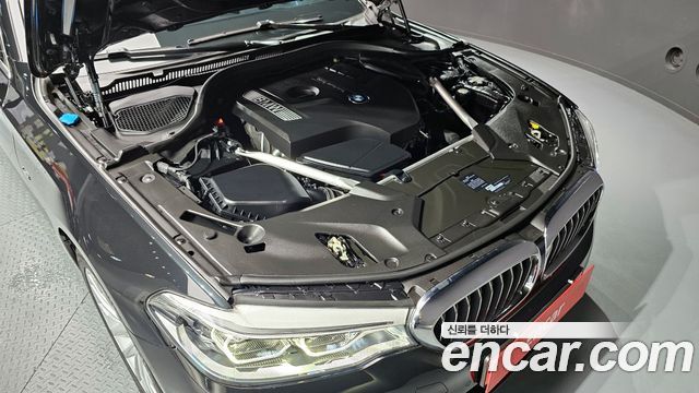 BMW 5 Series (G30) 530i xDrive Luxury Plus 2018 — фото 6