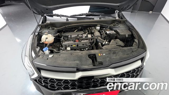 Kia Sportage (V) Gasoline 1.6 Turbo 4WD Signature Gravity 2024 — фото 6