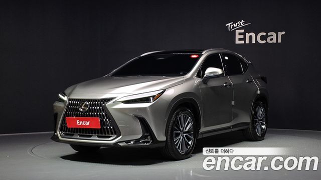 Lexus NX350h (II) Luxury