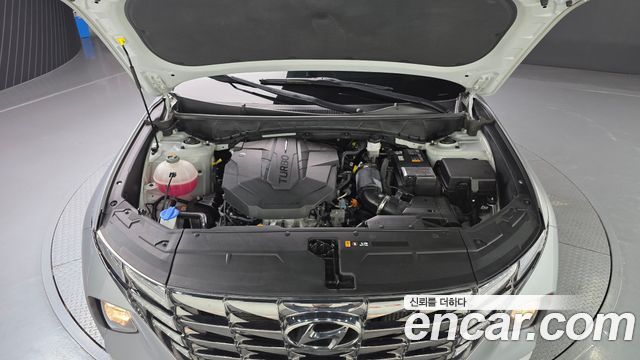Hyundai Tucson (NX4) Diesel 2.0 2WD Modern 2023 — фото 6