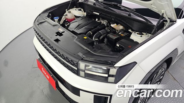 Hyundai Santa Fe (MX5) Gasoline 2.5T 4WD Calligraphy 2024 — фото 6