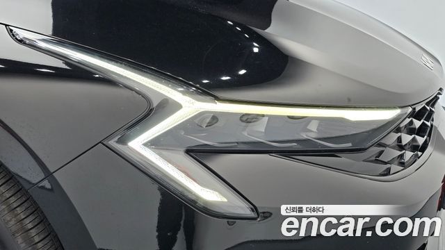 Kia K5 (III) 2.0 Prestige 2024 — фото 22
