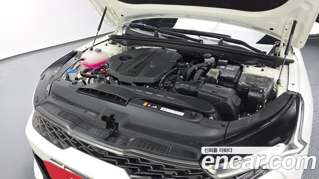 Kia K5 (III) 2.0 Noblesse 2023 — фото 6