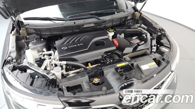 Renault Korea QM6 2.0 GDe RE Signature 2WD 2022 — фото 6