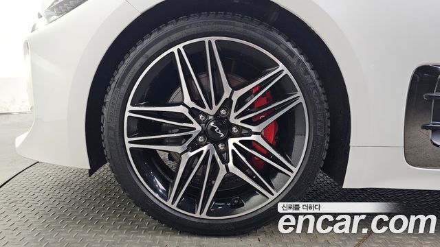 Kia Stinger Meister 2.5 AWD Masters 2022 — фото 5