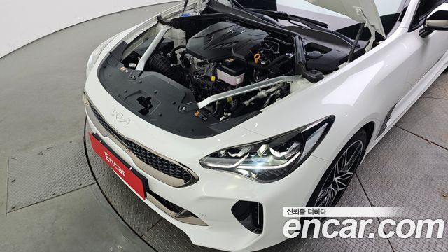 Kia Stinger Meister 2.5 AWD Masters 2022 — фото 6