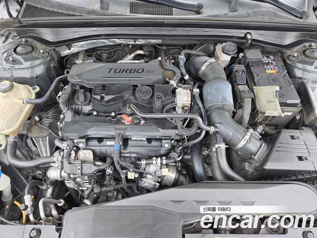 Kia K5 (III) 1.6 Turbo Noblesse 2021 — фото 22