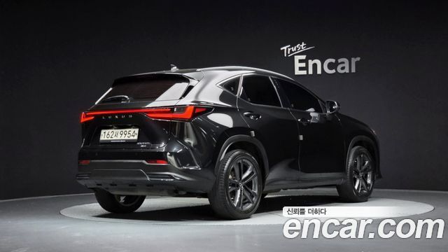 Lexus NX350h (II) Premium 2023 — фото 2