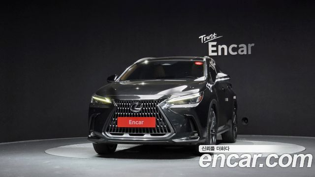 Lexus NX350h (II) Premium 2023 — фото 3