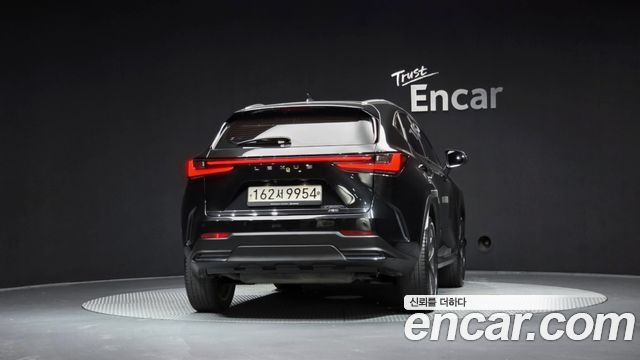 Lexus NX350h (II) Premium 2023 — фото 4