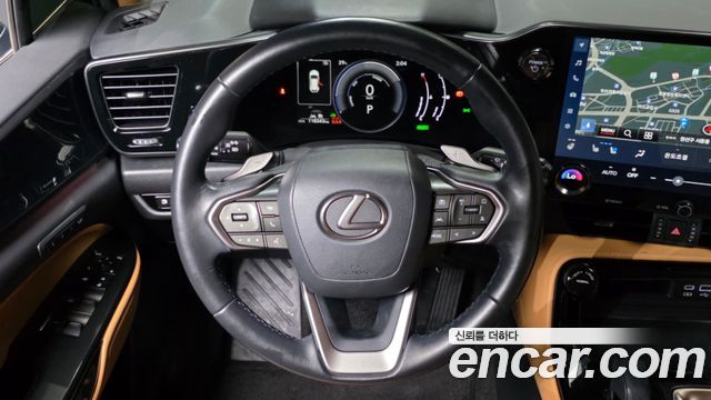 Lexus NX350h (II) Premium 2023 — фото 13