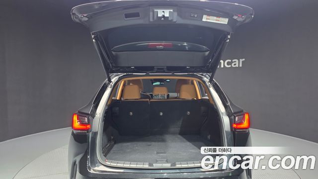 Lexus NX350h (II) Premium 2023 — фото 20