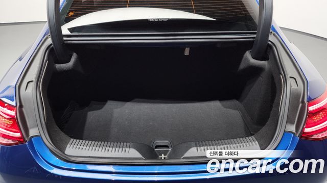 Mercedes-Benz CLS-Class (C257) CLS300d 4MATIC 2022 — фото 20
