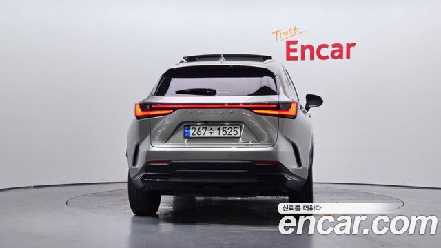 Lexus NX350h (II) Luxury 2025 — фото 4