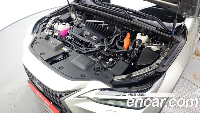 Lexus NX350h (II) Luxury 2025 — фото 6