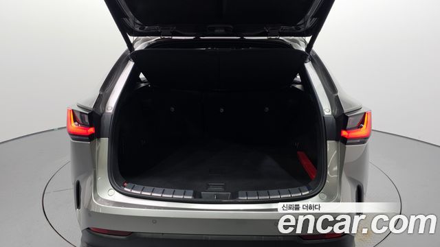 Lexus NX350h (II) Luxury 2025 — фото 21