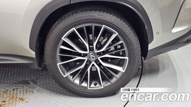 Lexus NX350h (II) Luxury 2025 — фото 27